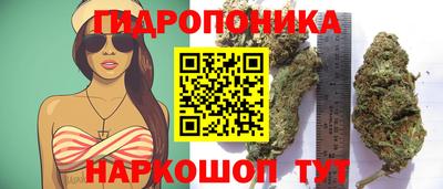 прущие грибы Обь