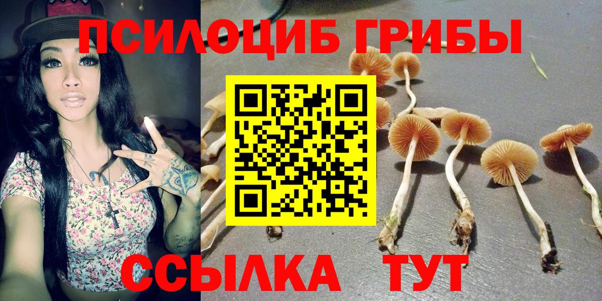 Галлюциногенные грибы мицелий Псков