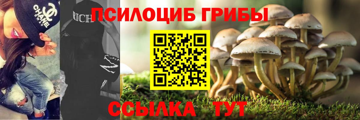Псков  Галлюциногенные грибы мицелий  Вход с VPN 