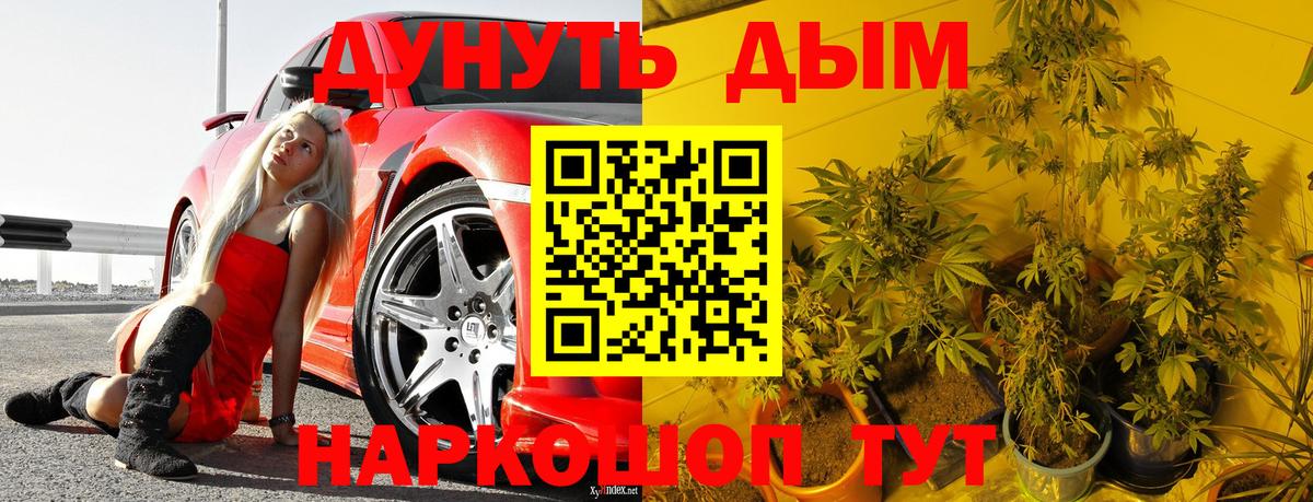 Каннабис THC 21%  Каннабис OG Kush  Бошки Шишки марихуана  Псков  Канабис сатива  Вход с VPN 